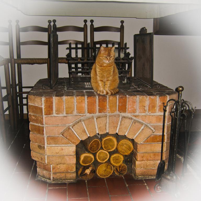 D'Orsaria B&B And Wines Premariacco Buitenkant foto